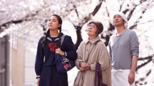 le ricette della signora Toku
